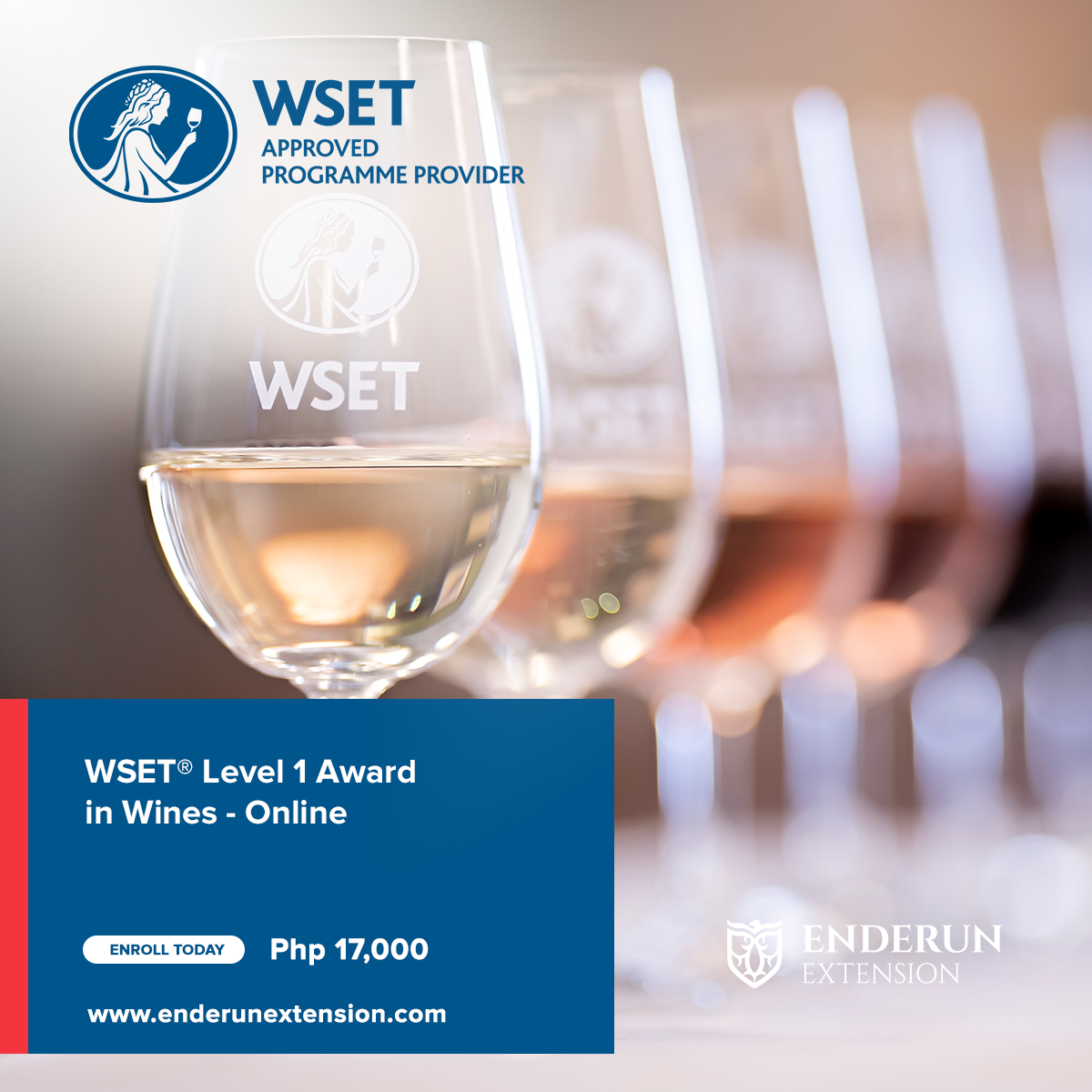 Wine & Spirit Education Trust (WSET) Level 1 Award in Wines - Enderun ...