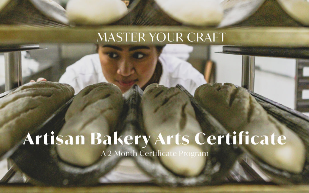 Artisan Bakery Arts Certificate